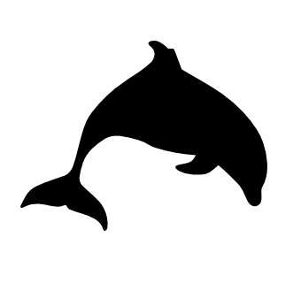 dolphin