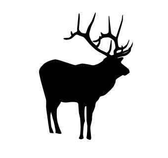 elk